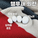 앵무새의란 모란앵무의란 사랑앵무 코뉴어 산란철 포란 식란증 : 앵무상회
