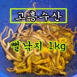 [순천 고흥수산] 1kg ! 국내산 고흥 뻘낙지 산낙지 활낙지 국산낙지 : 순천 고흥수산