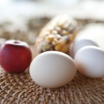 유기농 백봉오골계란 동물복지 무항생제 백봉오골계 nongmo 유정란초란 30구 : 영월농장백봉설원