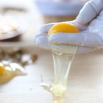 유기농 동물복지 달걀 백봉오골계알 계란 백봉란 nongmo 무항생제 유정란 초란 60구 : 영월농장백봉설원