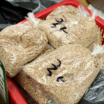 [울산 남구,중구 일부 배달] 고소한 참깨 1봉 [수암 안동상회] : 동네시장 장보기