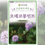 다농 오데코롱민트(자홍색) 허브씨앗 1g : 조남매팜