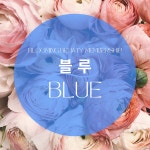 Blooming Membership (BLUE) : 블루밍뷰티샵