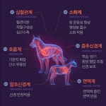 큐어펫 에센셜 Curepet 눈&피부 강아지 고양이 눈 피부 피모 습진 산화질소 영양제 : 엔오바이오