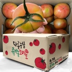 [못난이] 유기농 완숙 토마토 5kg - 주스용 : 다롱농장