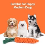 당근 반려동물 씹기 강아지 어금니 청소 내구성 땋은 물기 방지 박제 코튼 용품 : 셀렉나인