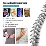 조절식 요추 스트랩 흉추 척추 고정 지지대 추간 정형 코르셋 : 엠에스컴퍼니2호점
