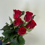 레드뷰티 반단 농장직송 졸업 생일 축하 장미꽃 꽃선물 장미 스승의날 어버이날 기념일 : 송현장미