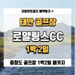 충남 태안 로얄링스cc 1박2일골프 : 자이언트 골프