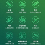 혀누닷컴 특허받은 발효효소 구강청결제 입냄새 구취 제거 잇몸 구강 관리 파우더 천연 가글 : 혀누닷컴