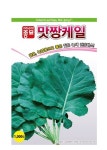 쌈채씨앗  맛짱케일 1000립 아시아종묘 쌈용 녹즙용으로 좋은 건강채소 /쌈 녹즙용 채소 : 만물아그로