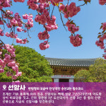 [4월&여성트레킹] 남도삼백리 천년불심길 트레킹 : 초록배낭
