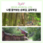 [4월&여성트레킹] 남도삼백리 천년불심길 트레킹 : 초록배낭