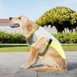 소형 중형 대형용 쿨링 셔츠 경량 반려동물 용품 여름 의류 재킷 조끼 : 스키마켓스키마켓