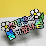 봄이왔나봄토퍼 나들이 소풍 피크닉 여행 촬영 소품 맞춤 주문 제작 : 승몽공방