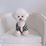 겨울 두껍고 따뜻한 애완 동물 의류 카디건 스웨터 오버 코트 재킷 작은 중형 요크 2L : 사촌마켓