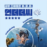 세부 언더더씨 스쿠버다이빙 오픈워터 3일 코스 : 언더더씨 세부 다이빙