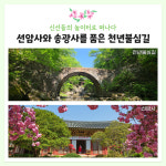 [4월&여성트레킹] 남도삼백리 천년불심길 트레킹 : 초록배낭