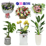 강진 화분 강진 난배달 승진난 : 35플라워