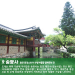 [4월&여성트레킹] 남도삼백리 천년불심길 트레킹 : 초록배낭