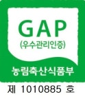 [산지직송]밀양얼음골사과 부성농원 5kg 10kg 가정용 선물용 꿀부사 못난이(흠과) : 얼음골사과부성농원