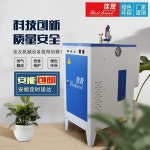 전기 스팀 보일러 증기 세탁소 다림질 스팀 다리미 상품 3kw 완전 자동 220v : 성지해외전문몰