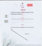 노박싱노라이프 아바레즈 킥복싱  이종격투기 전문 트레이닝 복싱 글러브 남녀 : 미라클 스킨