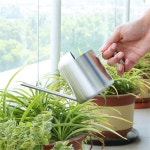 미니물조리개- 미니 물을 수 정원 마당 잔디 식물 꽃 Dropshipping에 대한 긴 주둥이 원예 도구와 스테인레스 스틸 장치 : 포웨히A