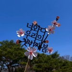 벚꽃토퍼 꽃놀이 봄여행 봄나들이 봄 입체 플라워 : 버블스토어