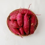 고창 2025 햇고구마 세척 황토고구마 황금터 고구마 5kg, 3kg : 고창 마켓