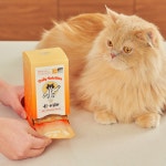 고양이 영양제 종합 유산균 오메가3 구내염 닭가슴살 데일리솔루션 올인원 미야옹철 김명철 : 닥터펠리스