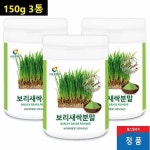 국내산 보라새싹 분말 가루 청보리순 보리싹 150g 3통 : 샤토 지