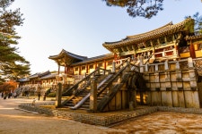 경주 불국사 아이 버스 투어 코오롱호텔 출발 (종일/반일) : 시공간 상점