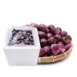 제주도 백년초열매 냉동 3kg : 진생마트