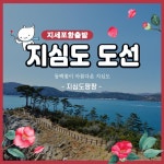 거제 지세포항 출발 지심도 여행 왕복승선권 도선 유람선 배편예약 동백꽃투어 : PANG PANG