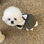 강아지 봄 가을옷 나그랑 슬라브 면 크롭티s : 더행복하개