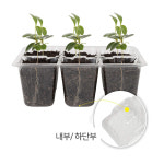 모종트레이 모종판 모판 : 주야상회
