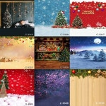 강아지포토존 애견포토존 설치 고양이 스튜디오 소품 부스 세트 촬영 : 도아즈