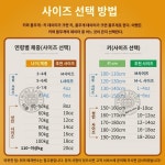 복싱 글러브 트윈스 스피릿 복싱 글러브 남녀 전문 이종격투기 자유 이종격투기 샌드백 훈련 복싱 : 바지와스커트