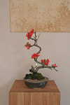 (명자) 일월성_red/white : yimun