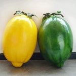 과일모형 대형 레몬 모델 인조 과일 녹색 가짜 노란색 가게 창 장식 소품 : 오름상상회