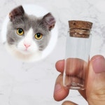 고양이 수염 보관함 털 보관 케이스 미니 유리병 : 심쿵이의 하루