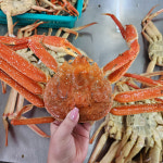 러시아 대게 스노우크랩 A급 자숙 선어 대게 2kg 외 3종 수율보장 : 온더스푼