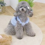 강아지 크롭티 블루 강아지의류 반려견티셔츠 : 못난이가게