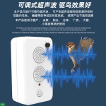 참새쫒는기계 비둘기 까마귀 퇴치기 초음파 조류 퇴치 과수원 보호 : 포커스유