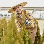 에메랄드그린 1.2m [온뜨락농원 plus] 최상품 : 온뜨락농원