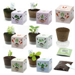 식물키우기 팜팜농장 식물성장관찰일기 6종 (택1) : 낭만문구소