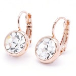 드롭귀걸이 로즈골드화이트 크리스탈화이트 8mm SCW18E98A3 : 신안리치1