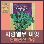 미래종묘 자랑 열무 씨앗 (25g) : 미래농약종묘
