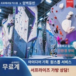대형 야외 실내 암벽등반   전문 훈련기구 목제 유리강 스쿨몰 포석 : 주뇨직구